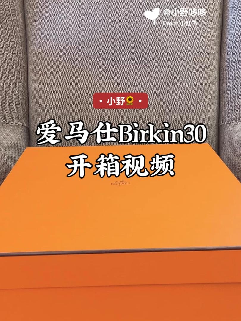 ֮Birkin30