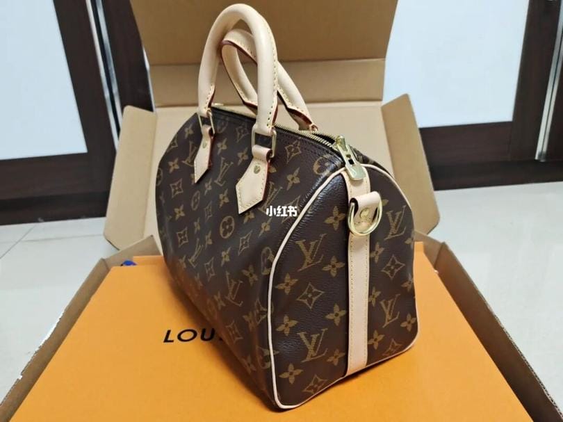 LV speedy25TBСʿٸи