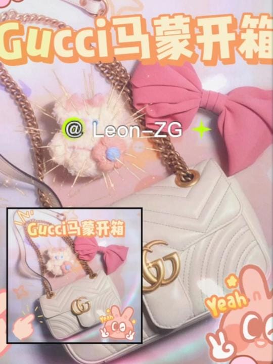 Gucciɰ22cm