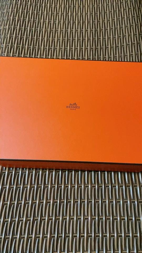 옷!Hermes mini lindy _