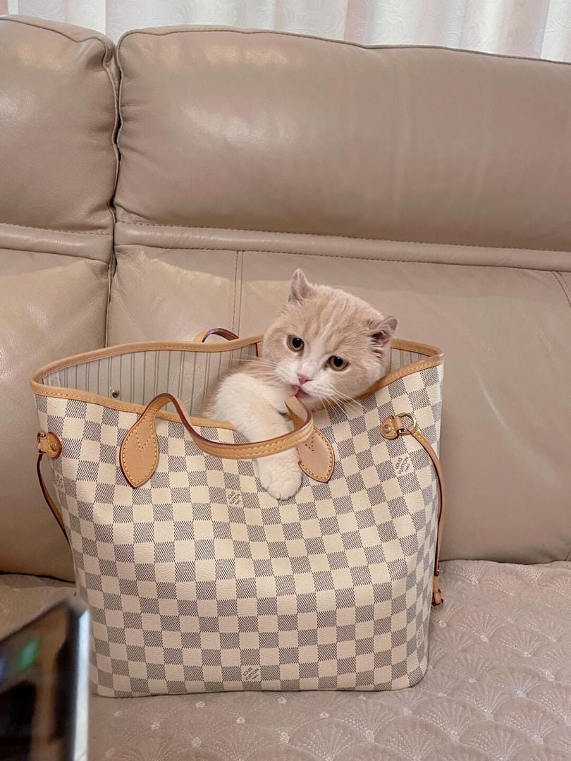 LV neverfull