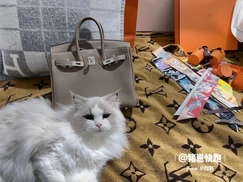 ¼Ҽҷ֧Hermes birkin