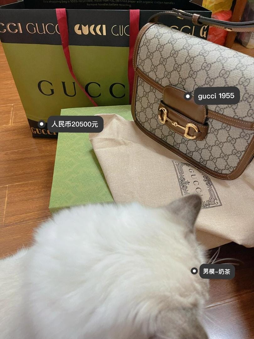 Gucci 1955170cm½