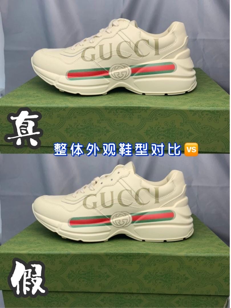 GucciϵЬٶԱ ѧ𣿣