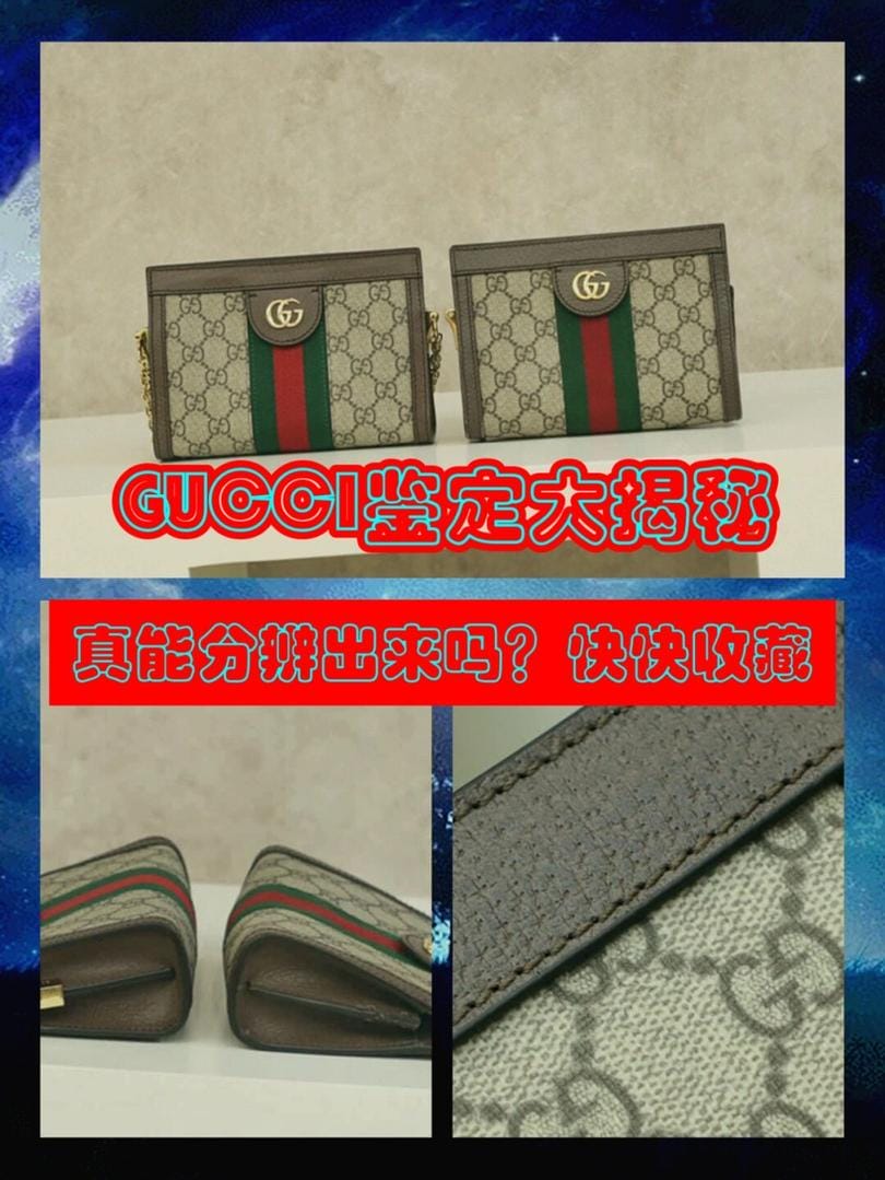 GUCCI ophidia ֵѱ