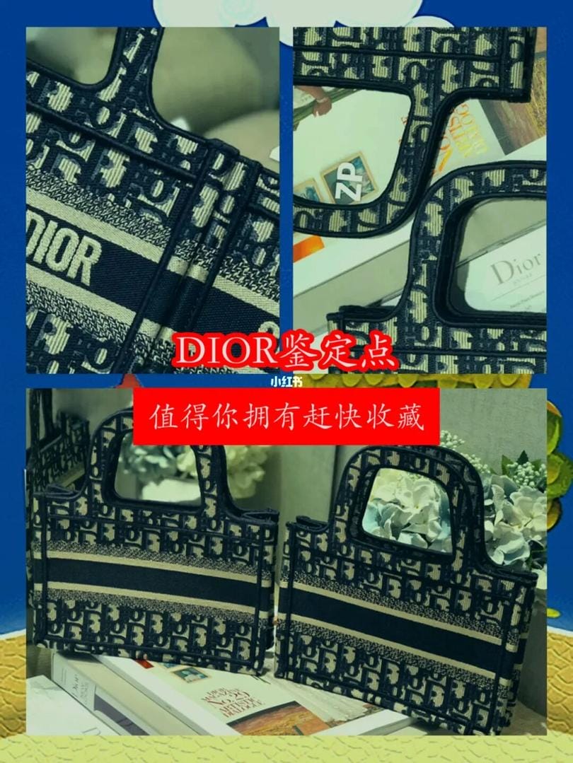 Ƽdior book tote mini¿ٶԱ