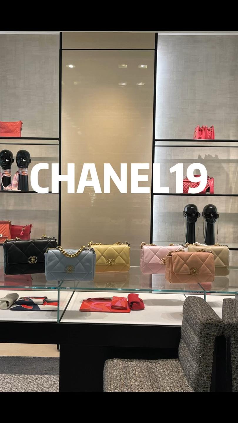 ̽Chanel19 㾯һֻؼҰ