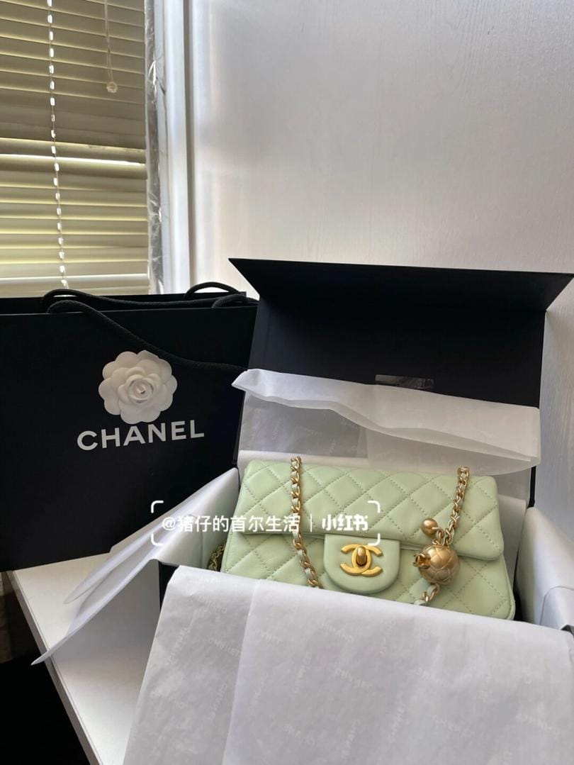 Chanel ζ 22C  