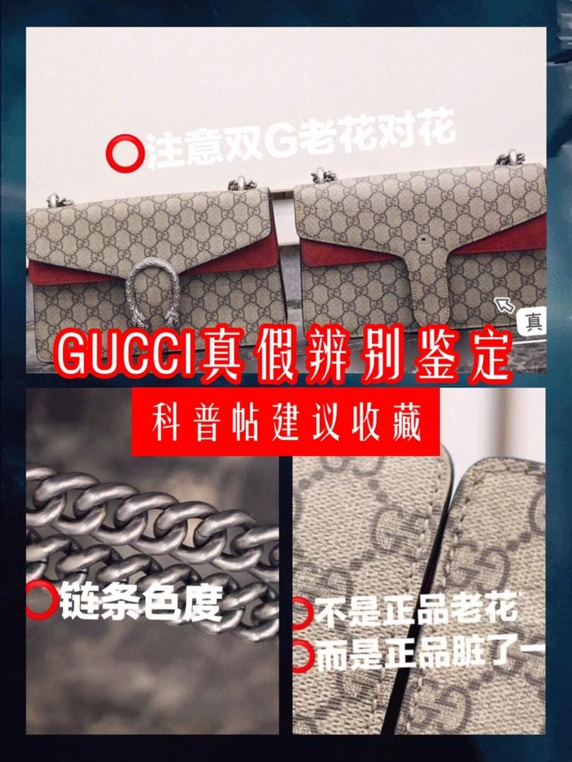 СҲѧGuccių۾¿