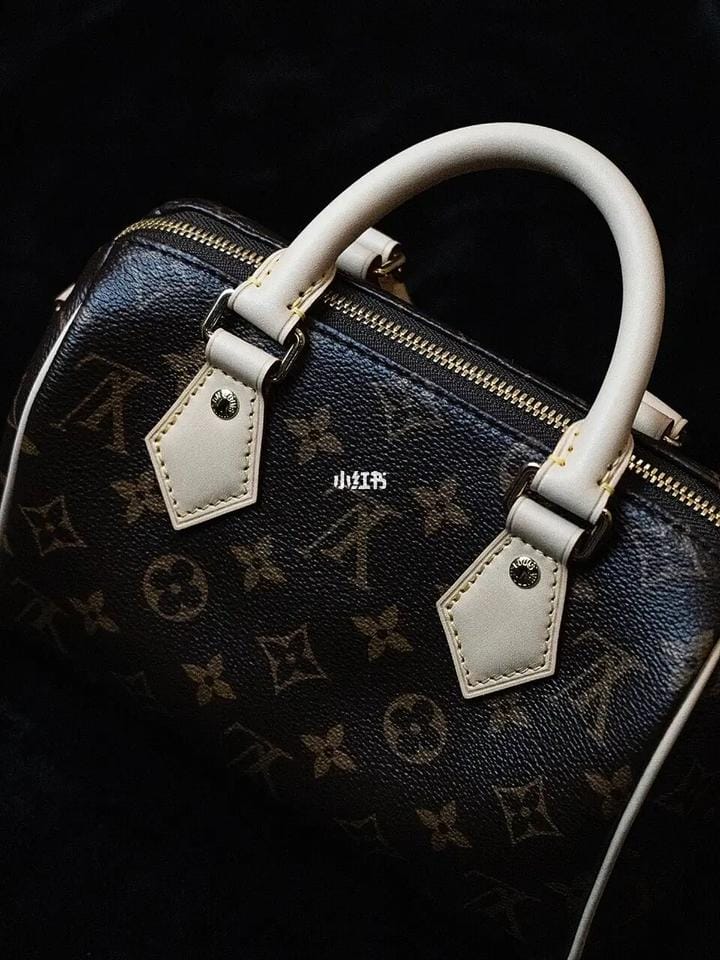 ˵LV Speedy 20е