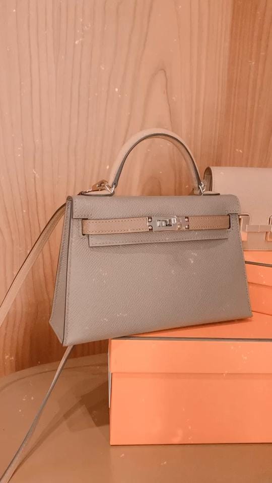 Hermes Tricolor mini kelly