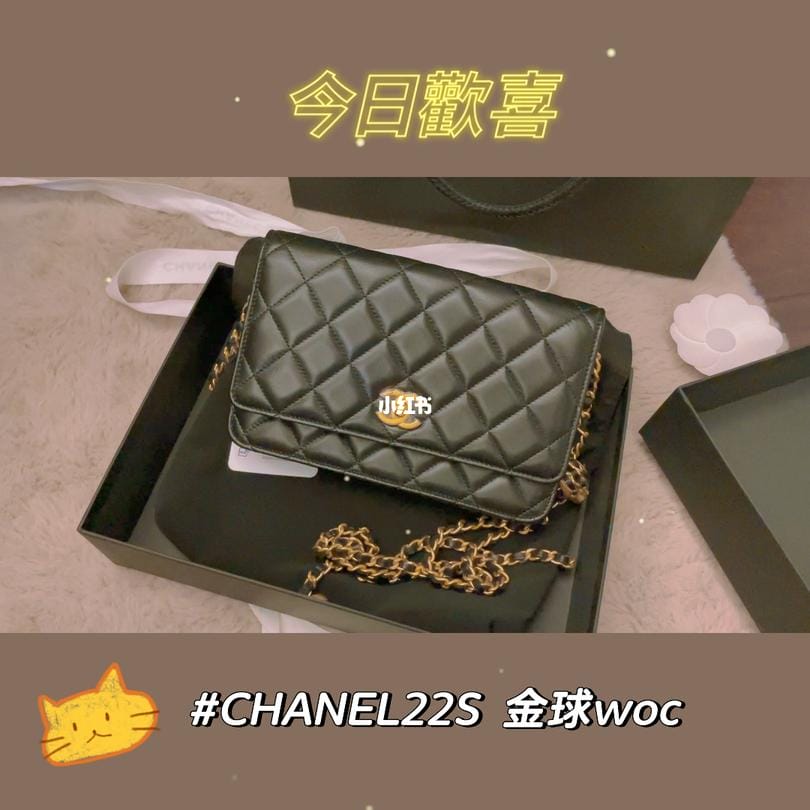 CHANEL22S woc