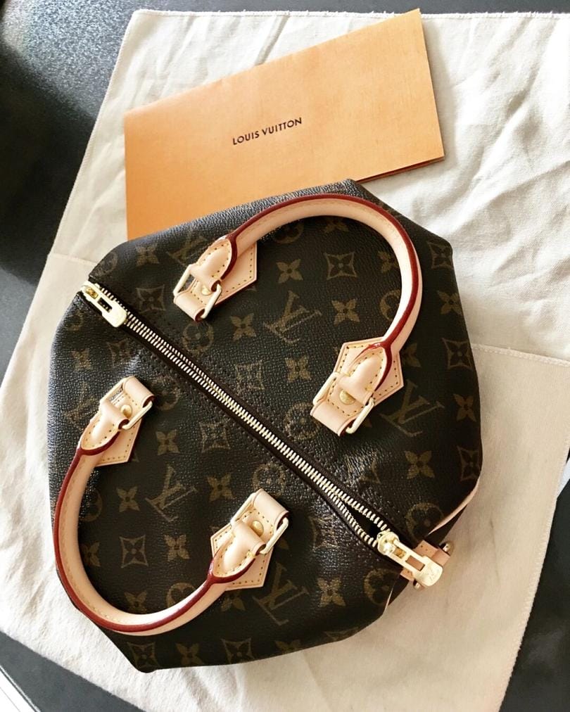 Louis Vuitton Speedy25 Monogram