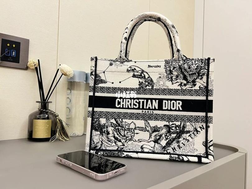 dior Book ToteСҺÿ