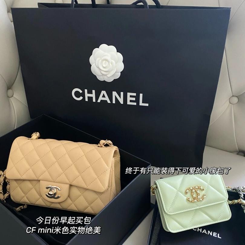 Chanel22C 19Mini