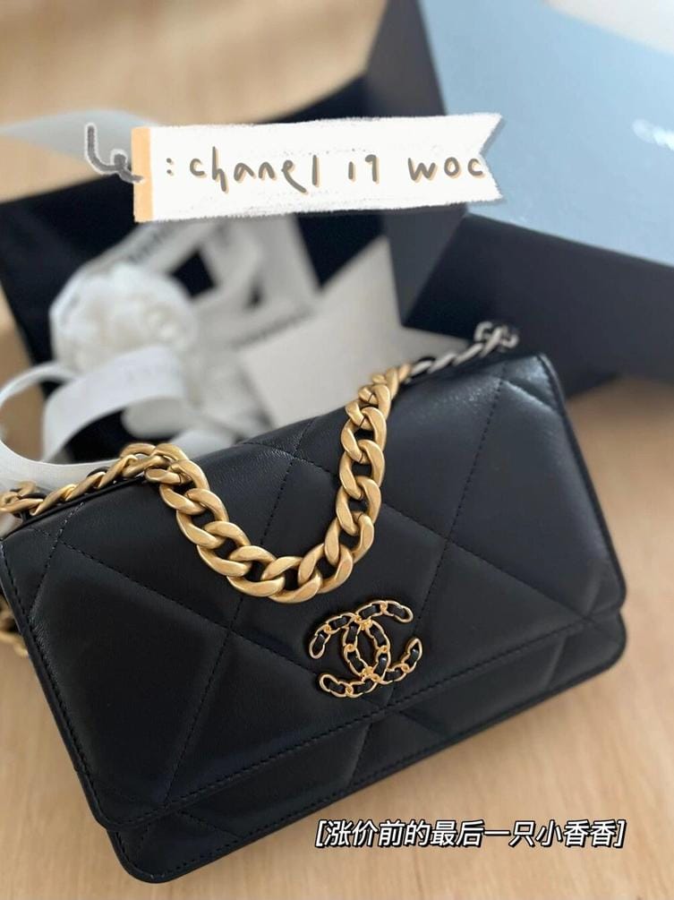 Chanel 19 WOC ǼǰĺһֻС 