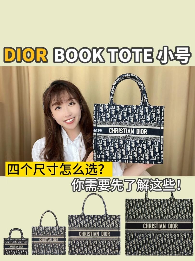 DIOR book toteС³ߴ磡ĸߴôѡ