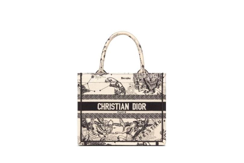 Dior Book Tote¿Сбͼ