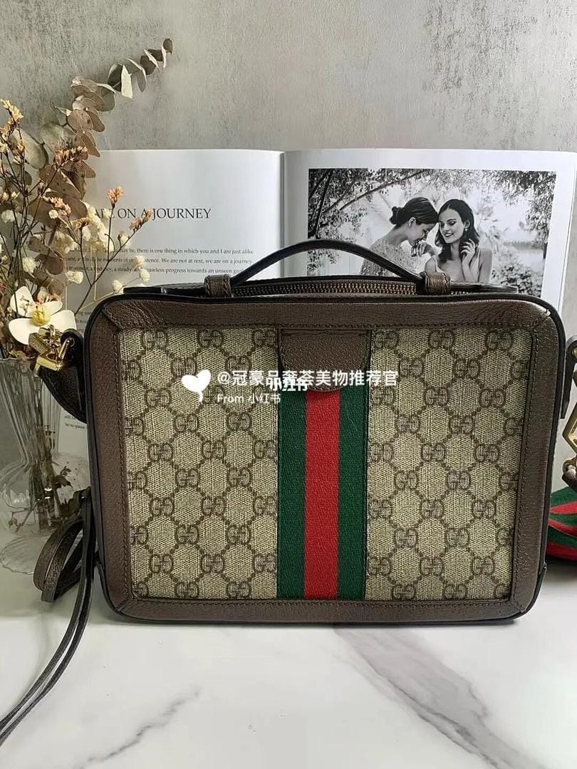 LVҵĲƷжྭGucci ophidiaӰ