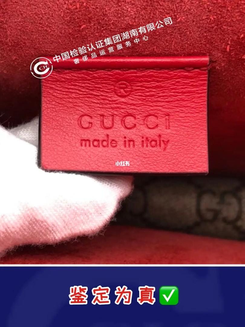 GucciΪ棬ͼ