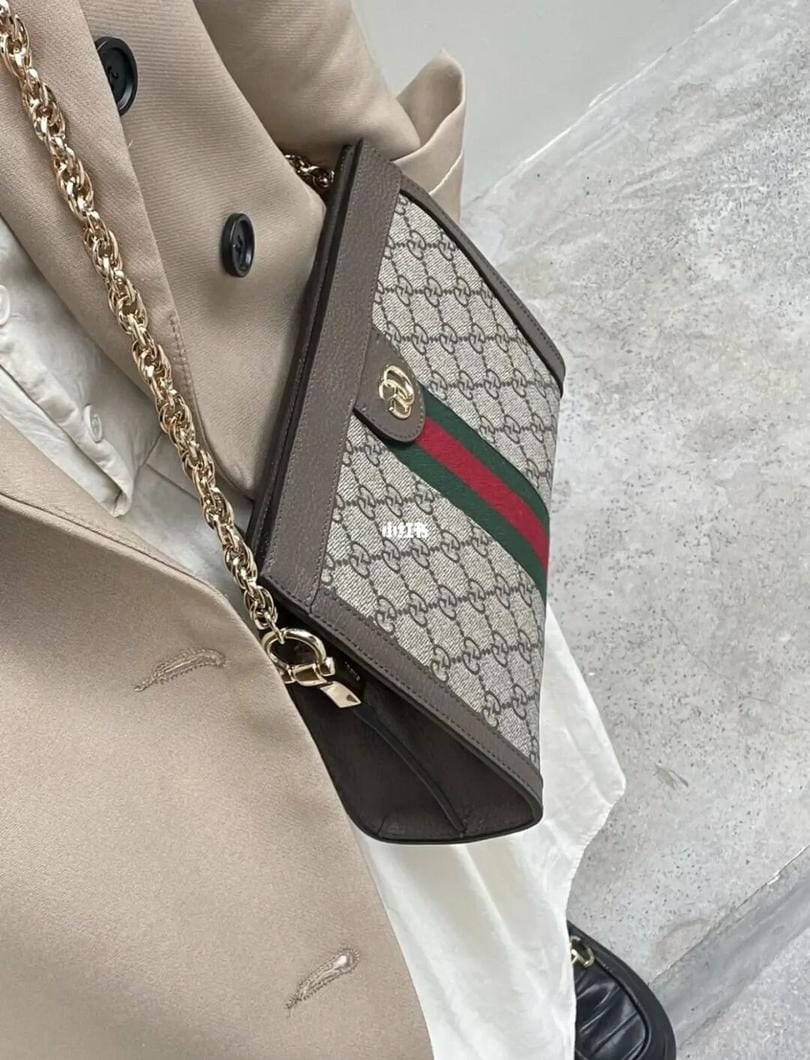 GUCCI ophidia ŷס