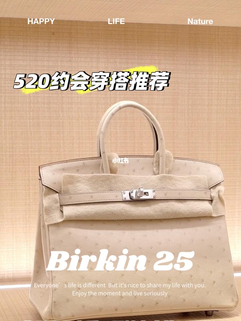 ǿƣBirkin 25ë  Ƥ