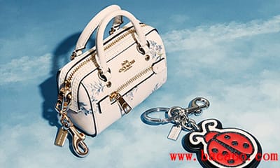 COACH Outletè콢