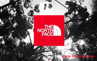 The North Face취