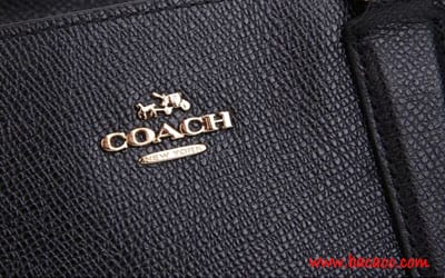 Coachȡ