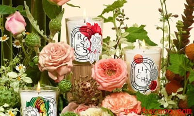 DiptyqueӢ֧