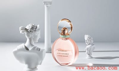 FragrancenetƷFragrancenetмٻ