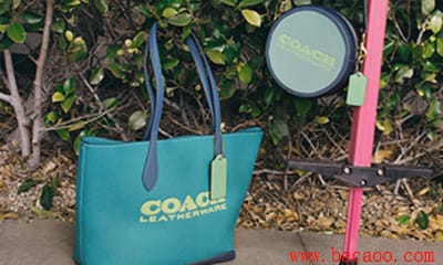 αCoachCoach취