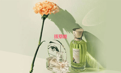 fragrancenetվʱ䣬fragrancenetʲôʱۺԹ