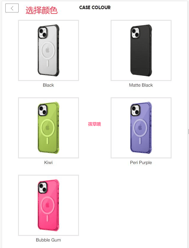 ζCasetifyֻ