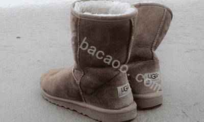 uggͰugg