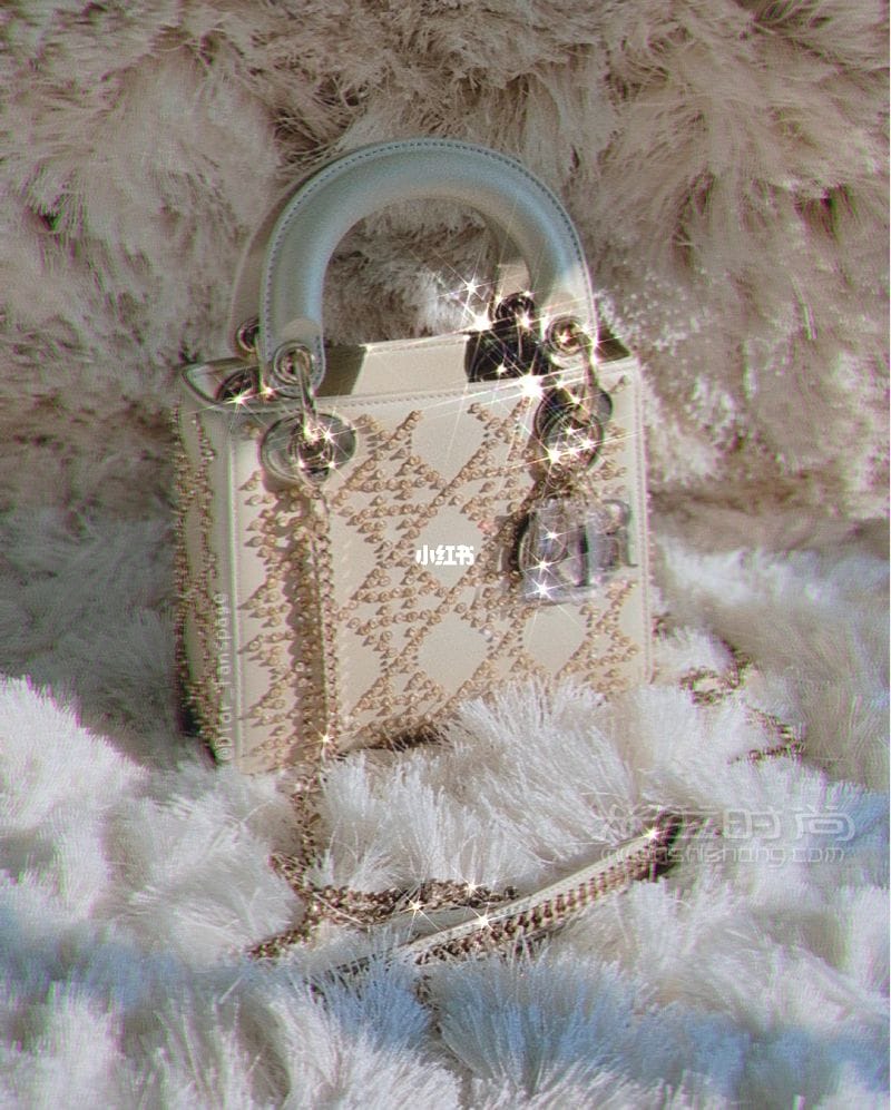 Dior 2020ﶬ¿ Lady Dior_2