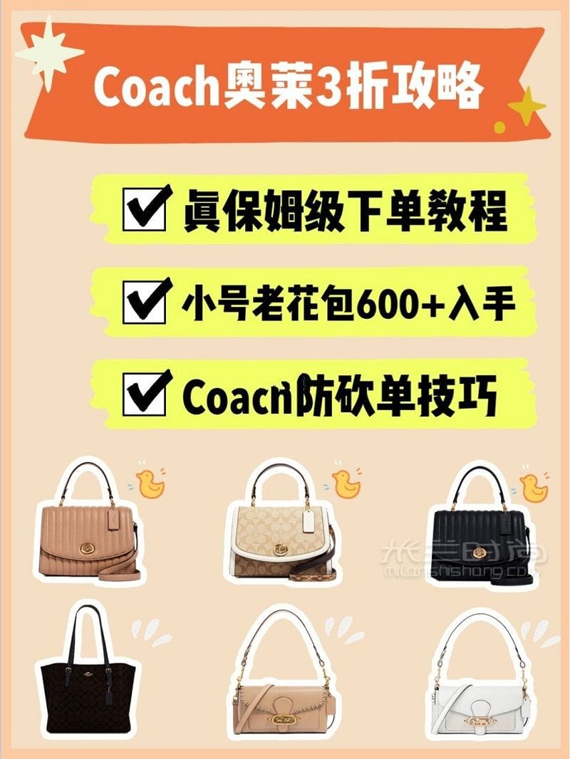 CoachԹ3tabby_1