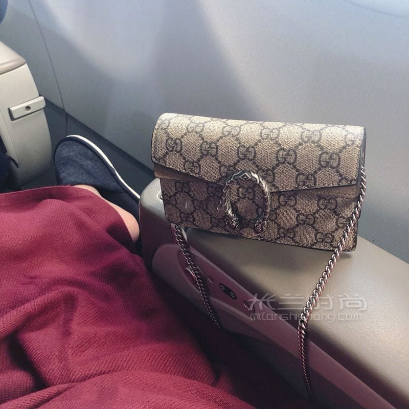 GUCCI Dionysus supermini  (8)