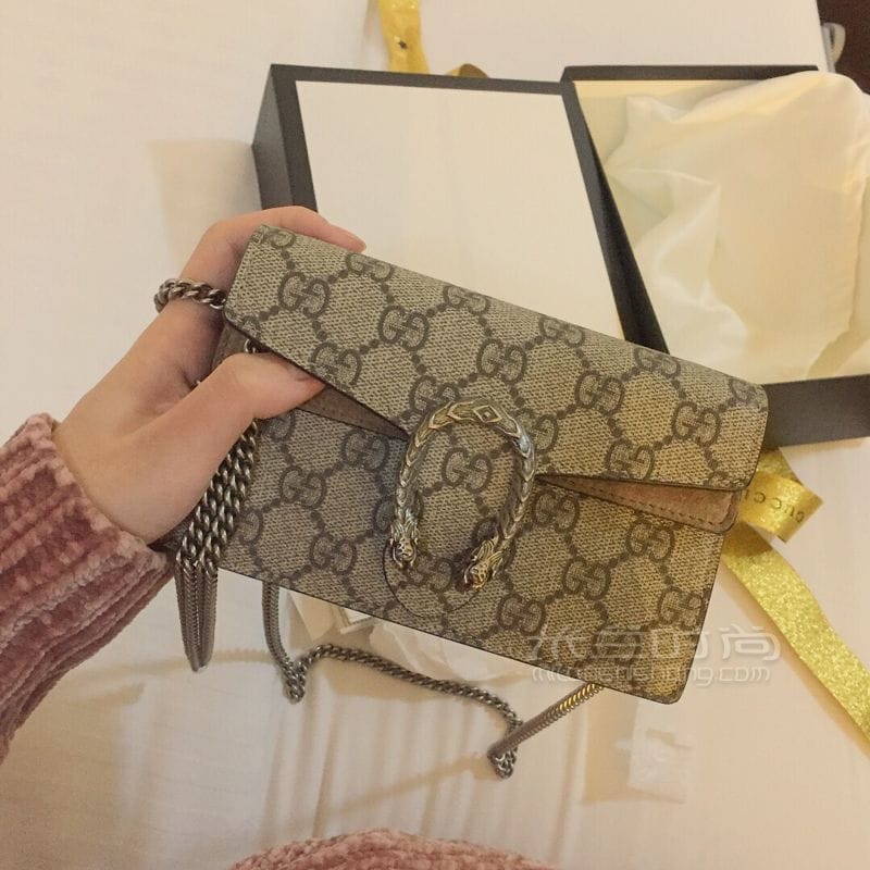 gucci Dionysus mini (1)