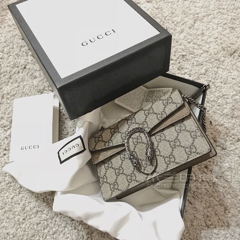 GUCCI Dionysus mini size ͼ (1)