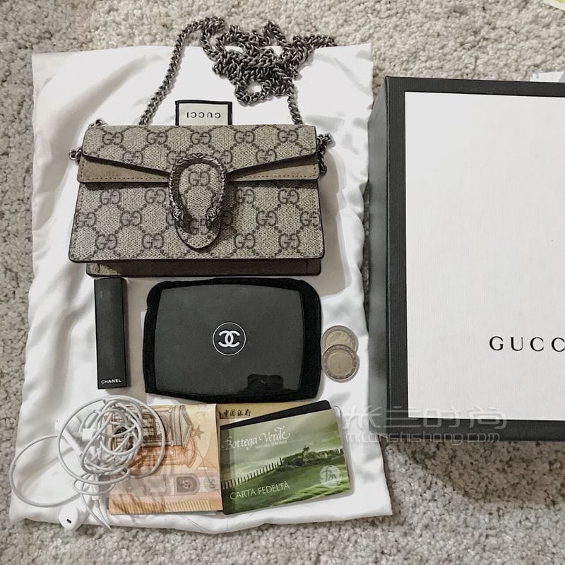 GUCCI Dionysus mini size ͼ (5)