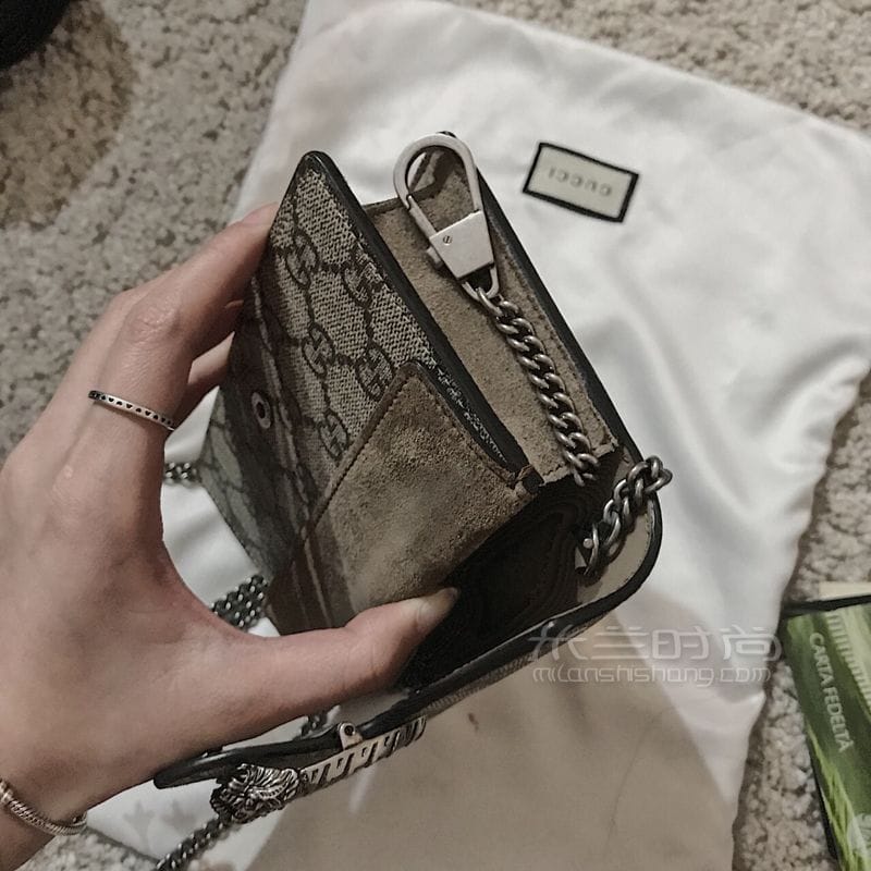 GUCCI Dionysus mini size ͼ (6)