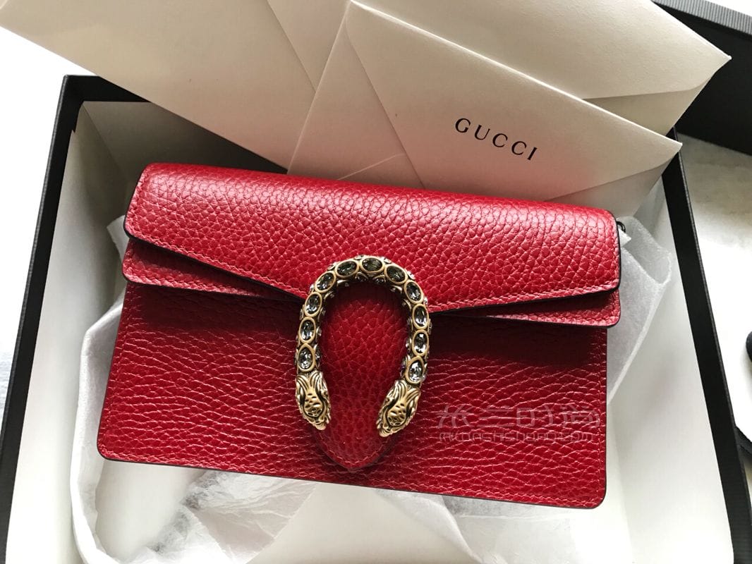 gucci super mini  (3)