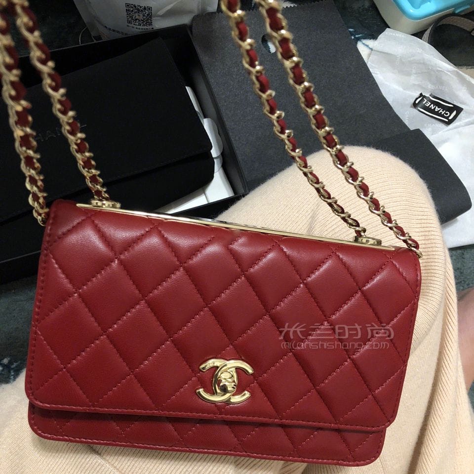 chanel woc 19cm ζ̫ÿ˽b (1)