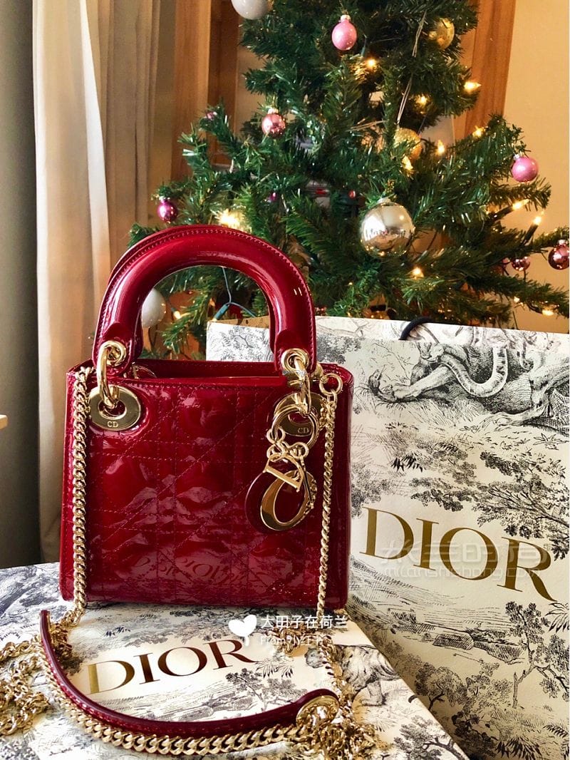 Ҳ lady dior_1