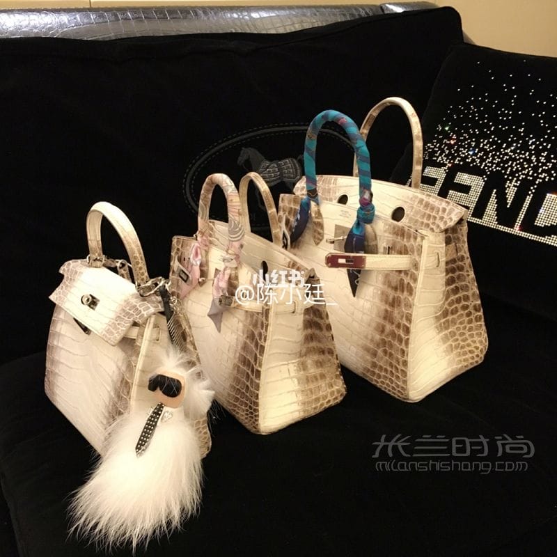 Hermes <a href=http://www.jiaduobao.ru/HERMES/ target=_blank class=infotextkey></a>himalaya ϲBirkin25 30 and Kelly25_1