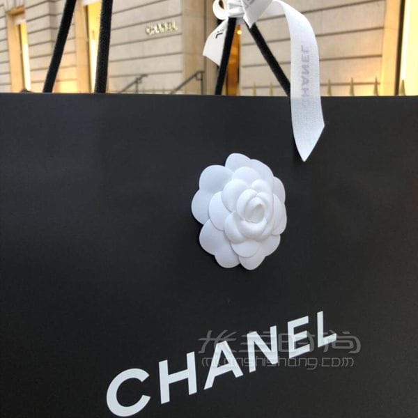 ҹϲȫ޵һֻChanel2019ɫſڸǰԭCoco handle_8