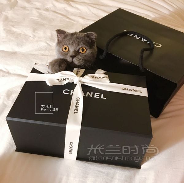 ζ Chanel CFMini ͼ_8