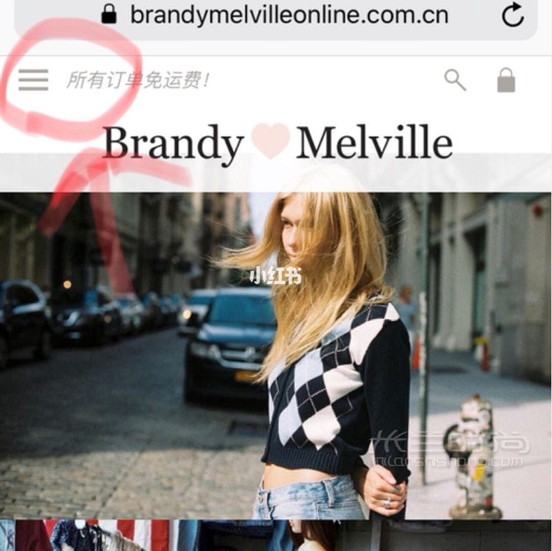 BrandyMelvilleйȫָ_2