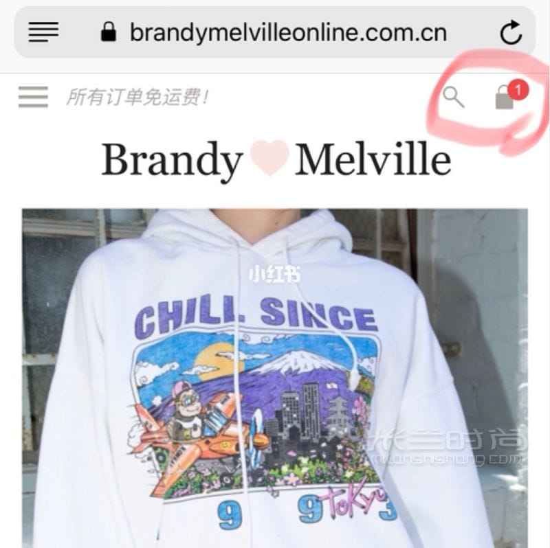 BrandyMelvilleйȫָ_4